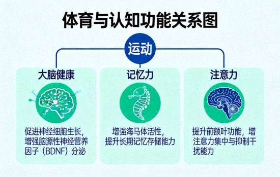 体育与认知功能关系图 - 展示运动对大脑健康、记忆力、注意力的积极促进作用