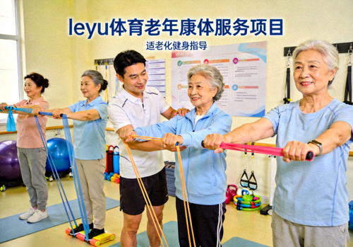 leyu体育老年康体服务项目 - 老年人在指导下进行适老化健身